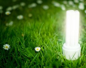 Brand new Ecological Bulbs